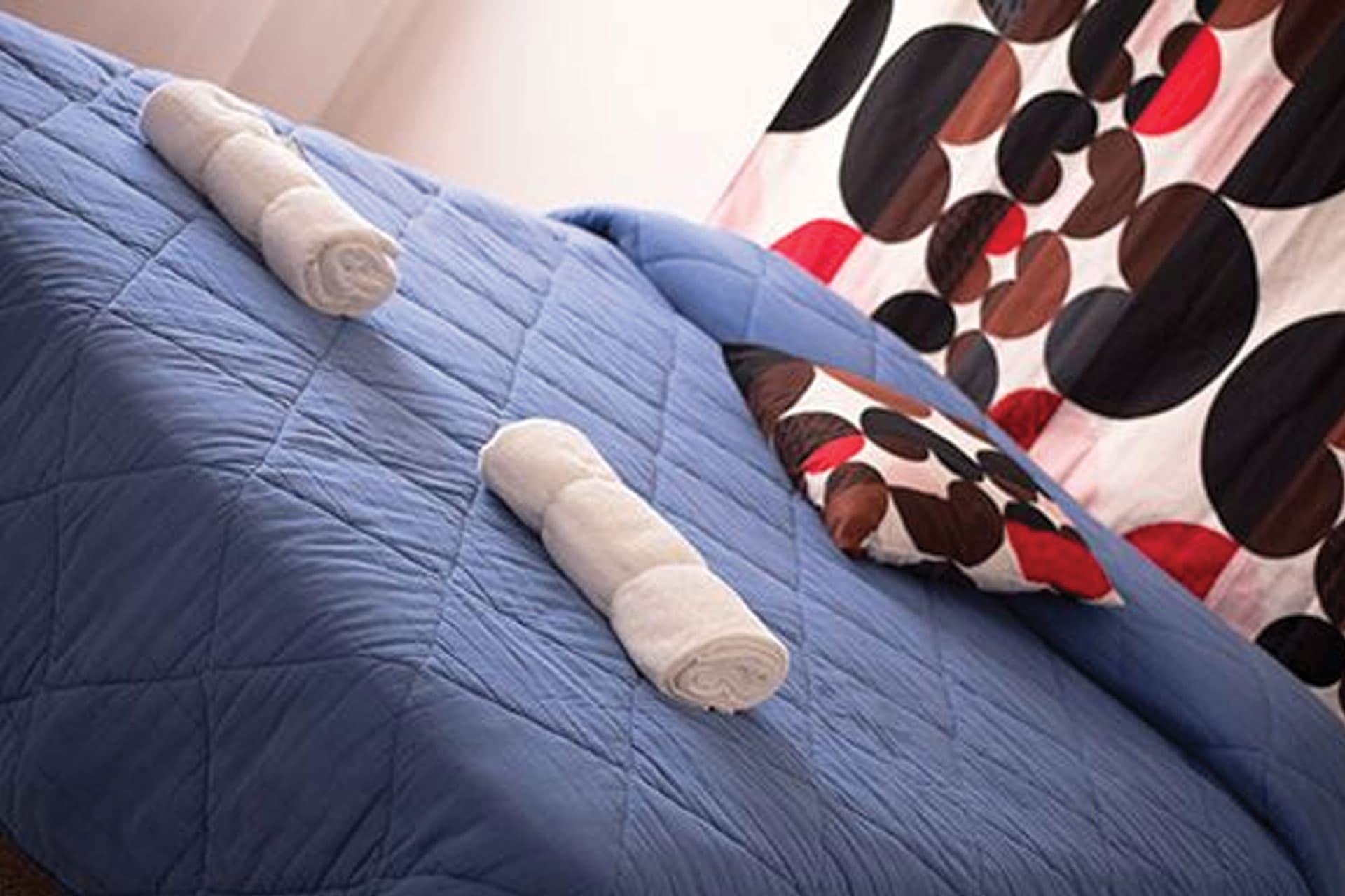 descrizione immagine