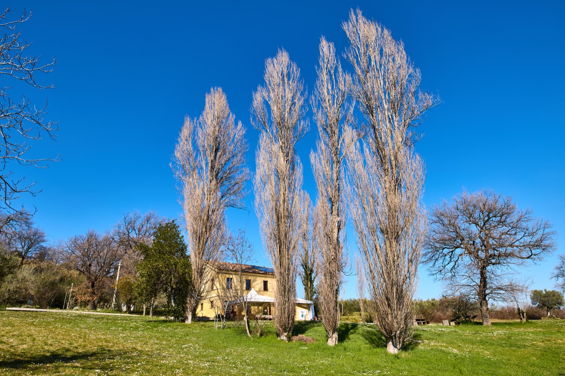 descrizione immagine