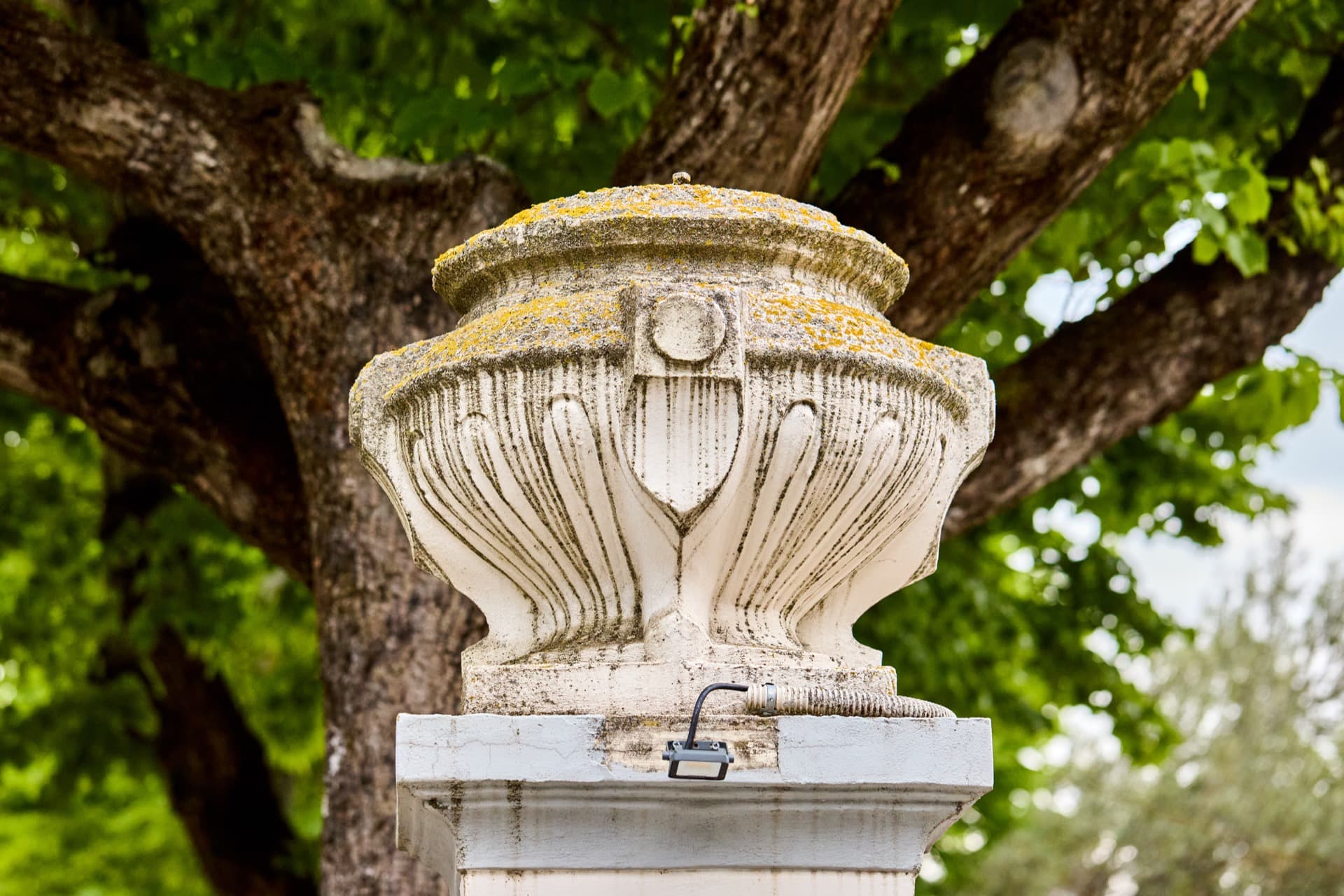 descrizione immagine