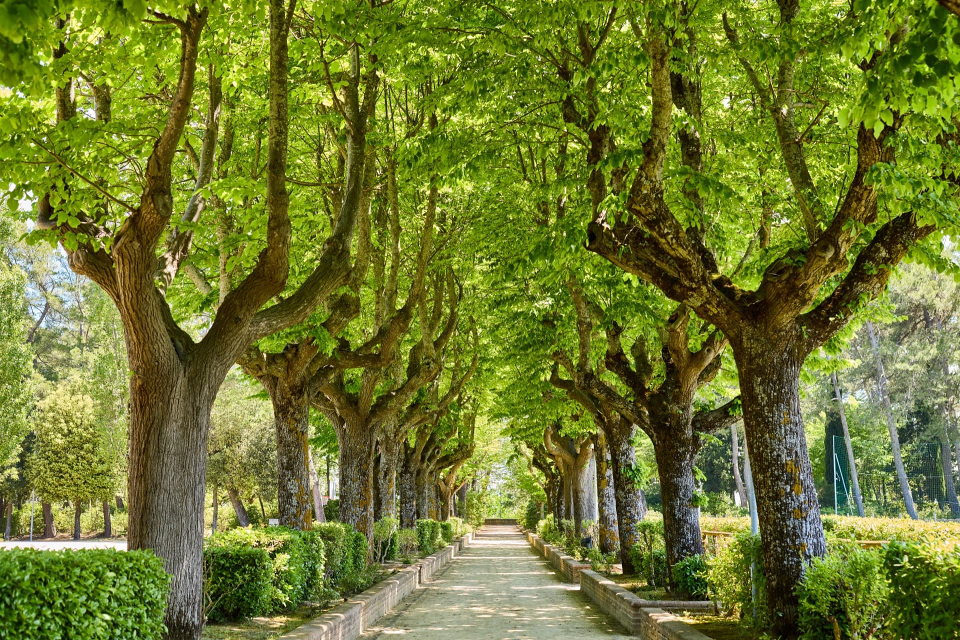 descrizione immagine