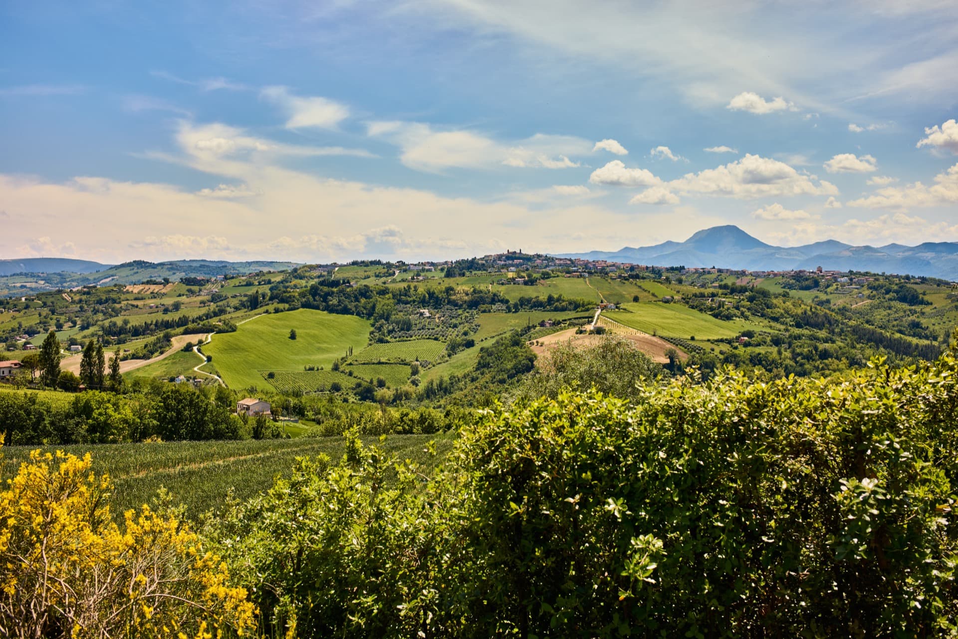 descrizione immagine